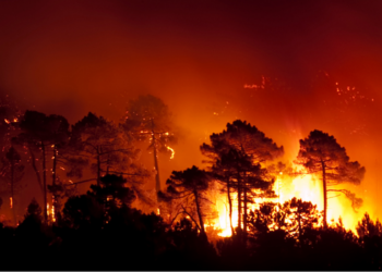 Brasil registra redução nas queimadas em 2026, mas Inpe alerta que seca e El Niño podem elevar o número de incêndios florestais nos próximos meses.