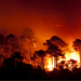 Brasil registra redução nas queimadas em 2026, mas Inpe alerta que seca e El Niño podem elevar o número de incêndios florestais nos próximos meses.
