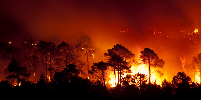 Brasil registra redução nas queimadas em 2026, mas Inpe alerta que seca e El Niño podem elevar o número de incêndios florestais nos próximos meses.