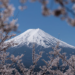 Uma idosa de 99 anos foi resgatada com vida após passar a noite no Monte Fuji, enquanto um turista suíço morreu durante a escalada. Autoridades reforçam medidas de segurança.