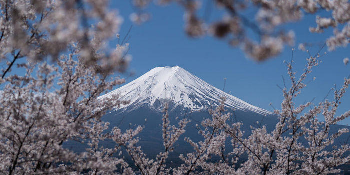 Uma idosa de 99 anos foi resgatada com vida após passar a noite no Monte Fuji, enquanto um turista suíço morreu durante a escalada. Autoridades reforçam medidas de segurança.