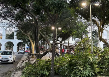 Após vendaval com cinco mortes, São Paulo ainda pode ter rajadas menores e o Rio prevê chuva fraca.
