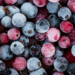China libera procedimentos para empresas brasileiras exportarem polpas e frutas congeladas. Cadastro sanitário será obrigatório antes do início dos embarques.