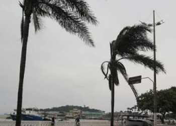 Quedas de árvores e o deslocamento de uma estrutura metálica causaram interdições parciais em diferentes pontos da cidade.