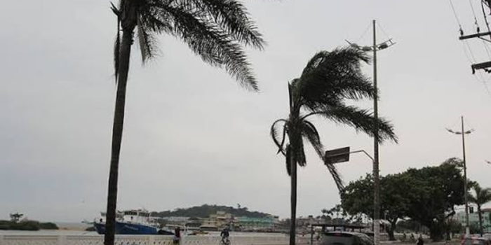 Quedas de árvores e o deslocamento de uma estrutura metálica causaram interdições parciais em diferentes pontos da cidade.