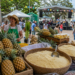 São Francisco de Itabapoana realiza o 1º Festival do Abacaxi & Farinha entre 21 e 23 de agosto.