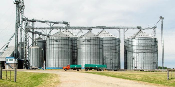 Etanol recua no Sudeste, mas diferença de preços entre estados chama atenção