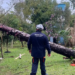 Frente fria deve provocar tempestades, vendavais e queda nas temperaturas no Sul e Sudeste, enquanto Nordeste terá tempo seco e chuva intensa no litoral.