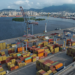 Brasil amplia acesso a mercados da Eurásia e do Japão com novas autorizações para exportação de produtos como orquídeas, pescado e bexigas natatórias.