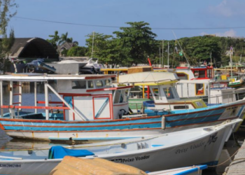 Rio das Ostras oferece oficina gratuita para pescadores sobre legislação pesqueira. Capacitação acontece em 25 de agosto, no Parque dos Pássaros.