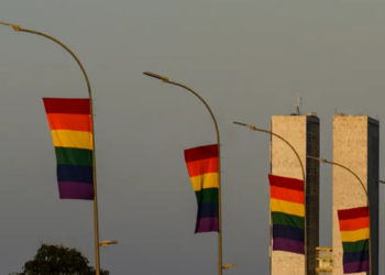 Eleições 2026 registram 514 candidaturas LGBT+, segundo levantamento do Instituto Plena Cidadania. Número representa alta de 57% em relação a 2022.