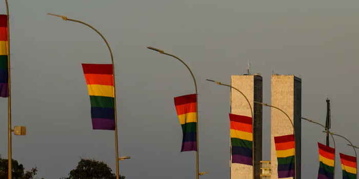 Eleições 2026 registram 514 candidaturas LGBT+, segundo levantamento do Instituto Plena Cidadania. Número representa alta de 57% em relação a 2022.