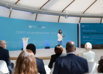 COP17 terminou sem acordo internacional contra as secas. Países adiaram negociações sobre financiamento e medidas para enfrentar a escassez de água.