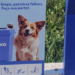 Macaé instala totens com saquinhos biodegradáveis para recolhimento de fezes de animais e amplia ações de conscientização ambiental.