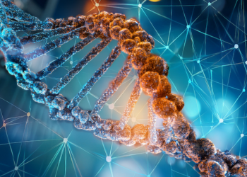 Cientistas criam 16 bacteriófagos funcionais a partir de genomas desenhados por inteligência artificial.