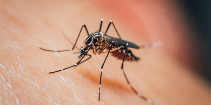 Pesquisa publicada na Nature Microbiology encontrou mutações do Plasmodium falciparum associadas à resistência a medicamentos contra a malária e reforçou a importância da vigilância genética.