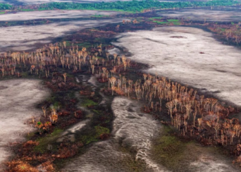 Alertas de desmatamento na Amazônia caem 36,87%, menor índice da atual série do Deter. Lula divulgou os dados durante visita ao INPE.