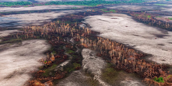 Alertas de desmatamento na Amazônia caem 36,87%, menor índice da atual série do Deter. Lula divulgou os dados durante visita ao INPE.
