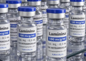 Polilaminina inicia nova fase de testes clínicos no Brasil em 24 de setembro. Estudo terá cinco pacientes e avaliará segurança em lesões medulares agudas.