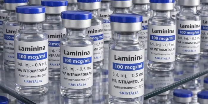 Polilaminina inicia nova fase de testes clínicos no Brasil em 24 de setembro. Estudo terá cinco pacientes e avaliará segurança em lesões medulares agudas.