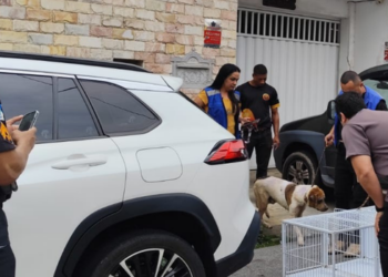 Operação Patas Seguras resgata 15 cães em Macaé e prende homem suspeito de maus-tratos durante fiscalizações nos bairros Novo Horizonte e Sol e Mar.