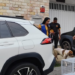 Operação Patas Seguras resgata 15 cães em Macaé e prende homem suspeito de maus-tratos durante fiscalizações nos bairros Novo Horizonte e Sol e Mar.