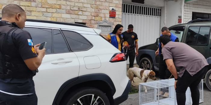 Operação Patas Seguras resgata 15 cães em Macaé e prende homem suspeito de maus-tratos durante fiscalizações nos bairros Novo Horizonte e Sol e Mar.