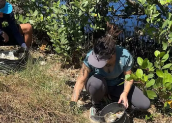Mutirão em Cabo Frio recolheu garrafas, embalagens e outros resíduos das margens da Laguna de Araruama durante o Dia Mundial da Limpeza.