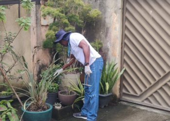 Vigilância Ambiental realiza ações contra mosquitos e roedores em bairros de Macaé entre segunda (28) e sexta-feira (2).