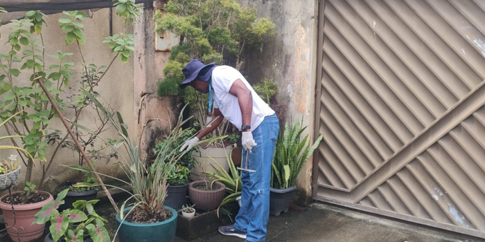 Vigilância Ambiental realiza ações contra mosquitos e roedores em bairros de Macaé entre segunda (28) e sexta-feira (2).