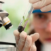 Programa Futuras Cientistas oferece 470 vagas gratuitas para estudantes e professoras da rede pública na edição 2027 da Imersão Científica.