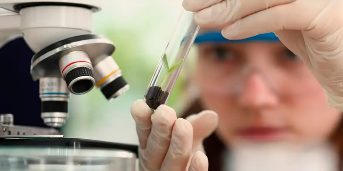 Programa Futuras Cientistas oferece 470 vagas gratuitas para estudantes e professoras da rede pública na edição 2027 da Imersão Científica.