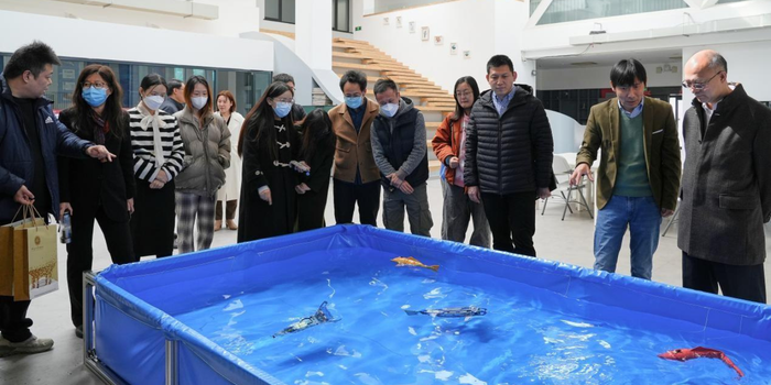 Pesquisadores chineses desenvolvem robôs que imitam peixes e podem ser usados em monitoramento ambiental e exploração debaixo d'água.