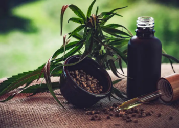 Novas regras para cannabis medicinal entram em debate entre associações, que apontam dúvidas sobre cultivo, fiscalização e controle de qualidade.