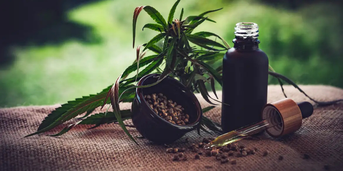 Novas regras para cannabis medicinal entram em debate entre associações, que apontam dúvidas sobre cultivo, fiscalização e controle de qualidade.