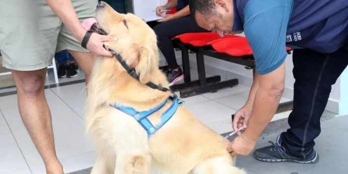 Quissamã vacinou 1.570 cães e gatos contra a raiva durante o Dia D. Imunização segue disponível até 30 de outubro na Vigilância em Saúde.