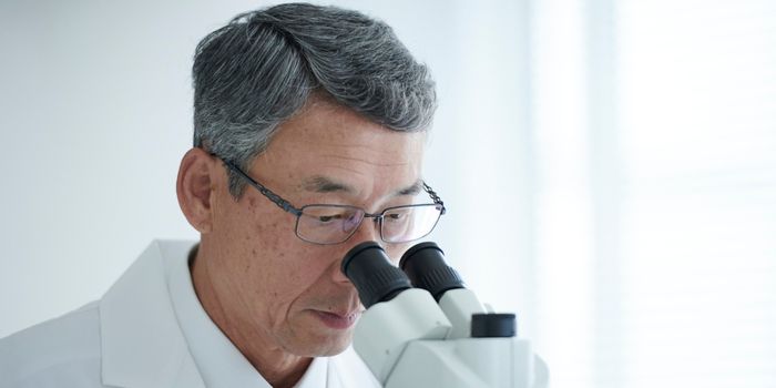 Pesquisa analisa como a saúde do homem antes da concepção pode deixar alterações epigenéticas nos espermatozoides e influenciar a reprodução.