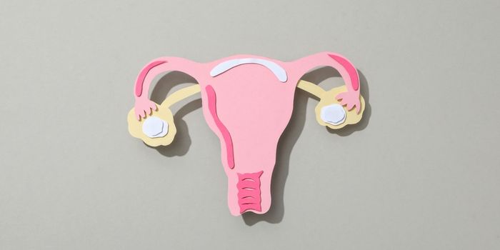 Planos de saúde terão cobertura obrigatória do DIU hormonal para pacientes com endometriose dentro dos critérios da ANS a partir de 1º de outubro.