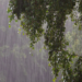 Chuva provoca acúmulo de água na Rio-Santos e acidente com caminhão na Estrada do Contorno, em Angra dos Reis, neste domingo (6).