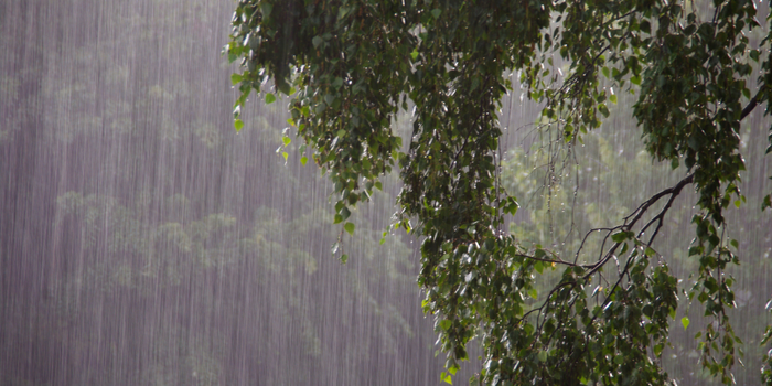 Chuva provoca acúmulo de água na Rio-Santos e acidente com caminhão na Estrada do Contorno, em Angra dos Reis, neste domingo (6).