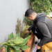 Macaé intensifica nesta semana as ações contra Aedes aegypti, Culex e roedores, com fumacê e mutirões em diversos bairros.