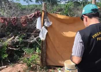 Fiscalização resgata 208 trabalhadores de condições análogas à escravidão em Minas Gerais durante operação realizada em agosto.