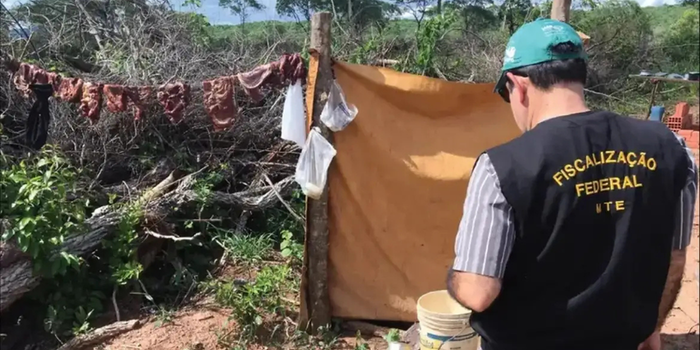 Fiscalização resgata 208 trabalhadores de condições análogas à escravidão em Minas Gerais durante operação realizada em agosto.