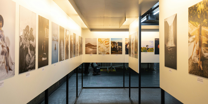 Exposição “Entre Viventes” abre nesta quarta-feira, no Solar dos Mellos, em Macaé, com obras que propõem reflexões sobre a existência e a vida.