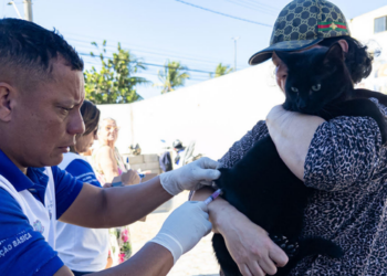 Macaé realiza vacinação antirrábica gratuita neste sábado (26), em 11 pontos da cidade. Confira os locais, horários e orientações para cães e gatos.