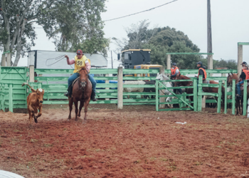 Inscrições estão abertas para a Prova do Laço da 41ª ExpoAgro de SFI. Competição terá R$ 20,6 mil em premiações.