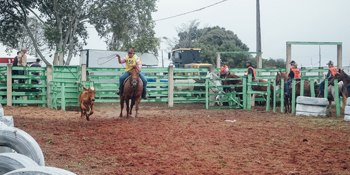 Inscrições estão abertas para a Prova do Laço da 41ª ExpoAgro de SFI. Competição terá R$ 20,6 mil em premiações.