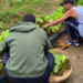 Horta é implantada na Pousada da Cidadania, em Macaé, para complementar a alimentação e estimular a participação e autonomia dos acolhidos.