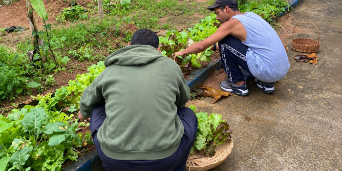 Horta é implantada na Pousada da Cidadania, em Macaé, para complementar a alimentação e estimular a participação e autonomia dos acolhidos.