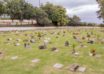 Macaé prepara cemitérios para o Dia de Finados, com manutenção, controle de pragas, visitação das 7h às 18h e missas no Memorial Mirante da Igualdade.
